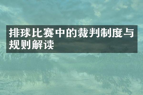 排球比赛中的裁判制度与规则解读