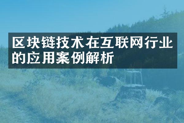 区块链技术在互联网行业的应用案例解析