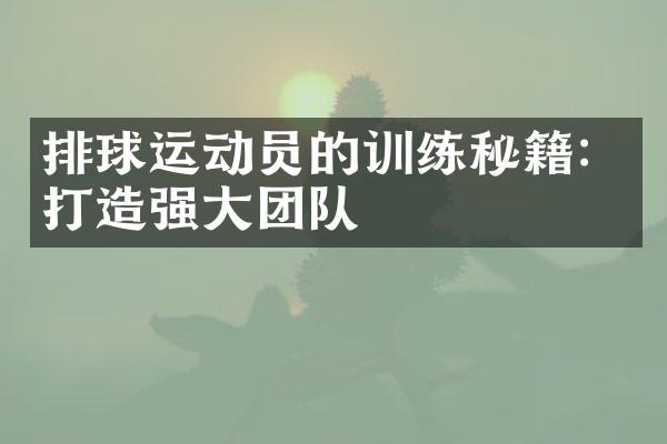 排球运动员的训练秘籍：打造强大团队