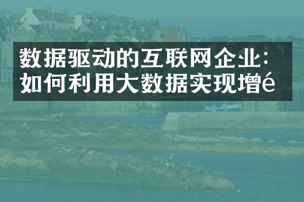 数据驱动的互联网企业：如何利用大数据实现增长