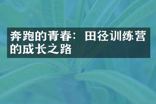 奔跑的青春：田径训练营的成长之路