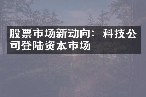 股票市场新动向：科技公司登陆资本市场