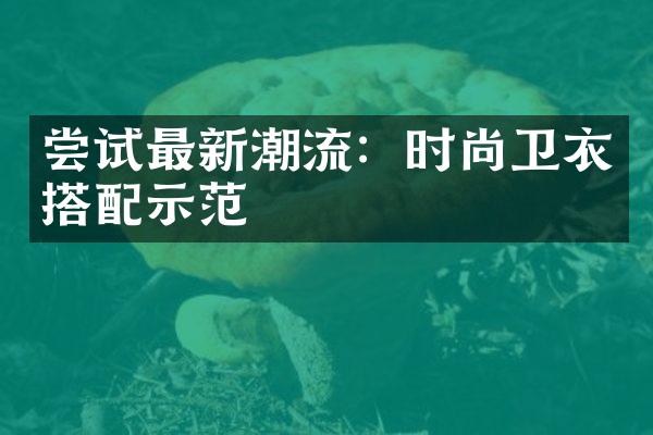 尝试最新潮流：时尚卫衣搭配示范