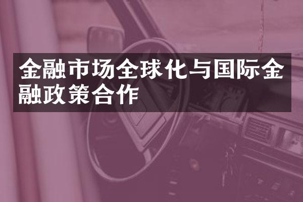 金融市场全球化与国际金融政策合作