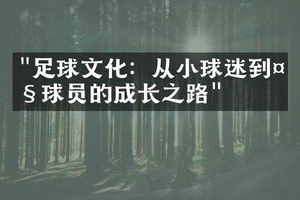 "足球文化：从小球迷到大球员的成长之路"