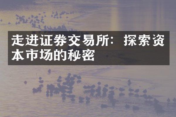 走进证券交易所：探索资本市场的秘密