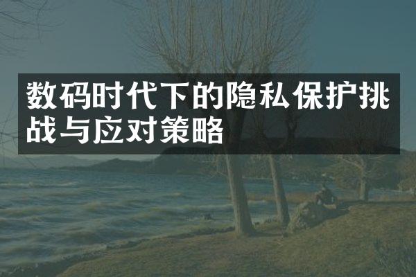 数码时代下的隐私保护挑战与应对策略