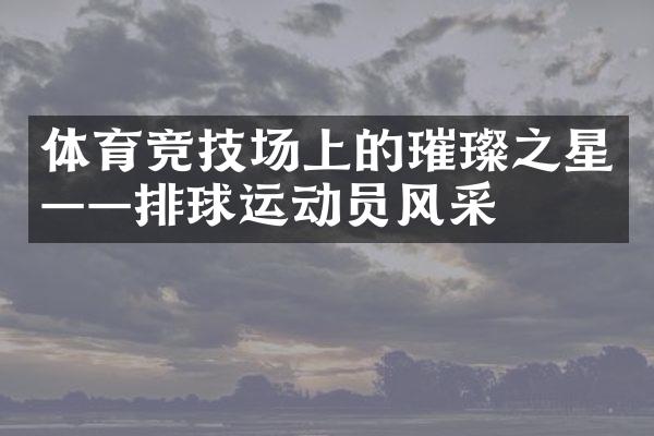 体育竞技场上的璀璨之星——排球运动员风采