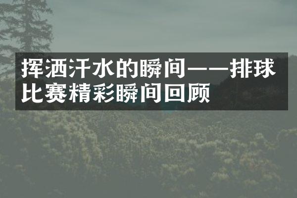 挥洒汗水的瞬间——排球比赛精彩瞬间回顾