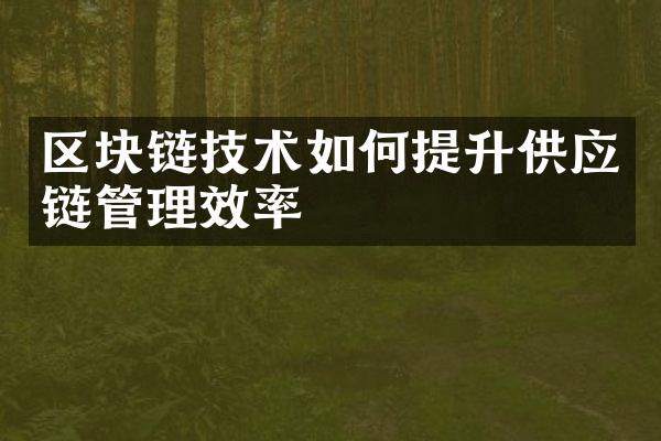 区块链技术如何提升供应链管理效率