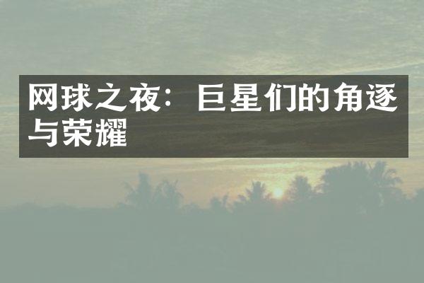 网球之夜：巨星们的角逐与荣耀