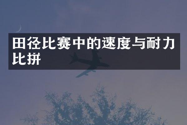 田径比赛中的速度与耐力比拼