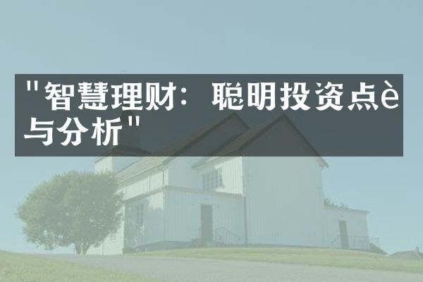 "智慧理财：聪明投资点评与分析"