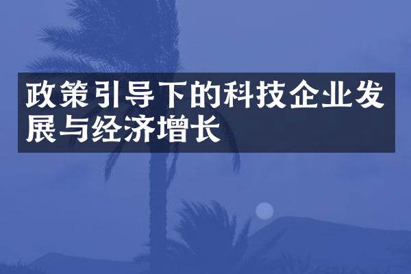 政策引导下的科技企业发展与经济增长