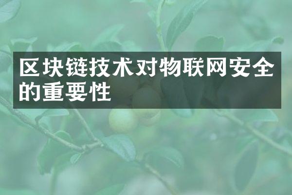 区块链技术对物联网安全的重要性