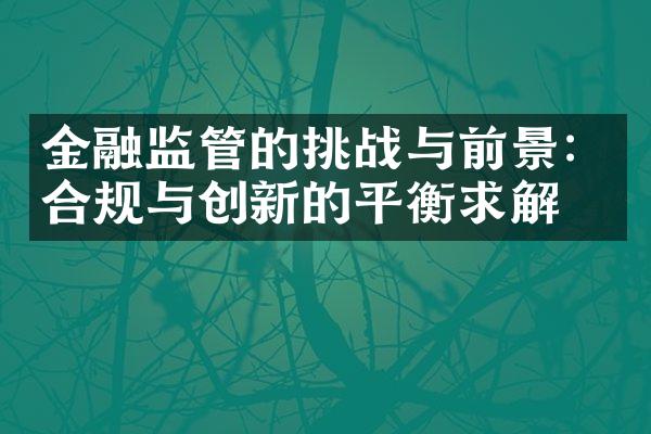 金融监管的挑战与前景：合规与创新的平衡求解