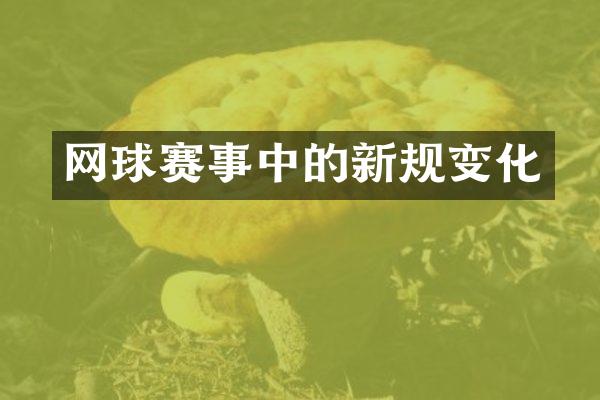 网球赛事中的新规变化