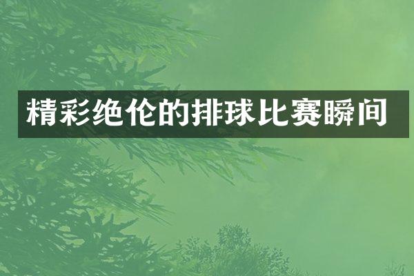 精彩绝伦的排球比赛瞬间