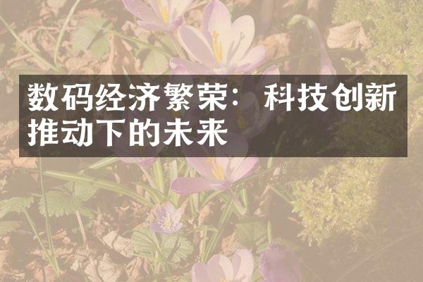 数码经济繁荣：科技创新推动下的未来