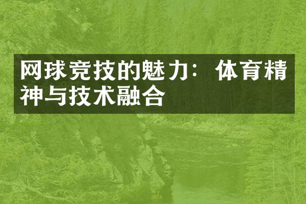 网球竞技的魅力：体育精神与技术融合