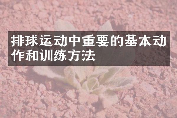 排球运动中重要的基本动作和训练方法