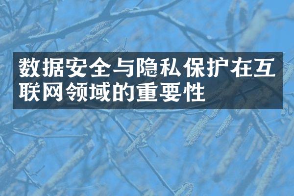 数据安全与隐私保护在互联网领域的重要性