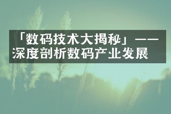 「数码技术大揭秘」——深度剖析数码产业发展