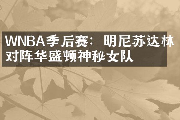 WNBA季后赛：明尼苏达林琪对阵华盛顿神秘女队