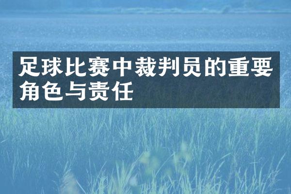 足球比赛中裁判员的重要角色与责任