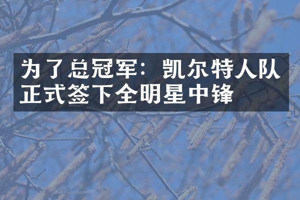 为了总冠军：凯尔特人队正式签下全明星中锋