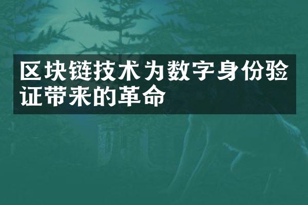 区块链技术为数字身份验证带来的