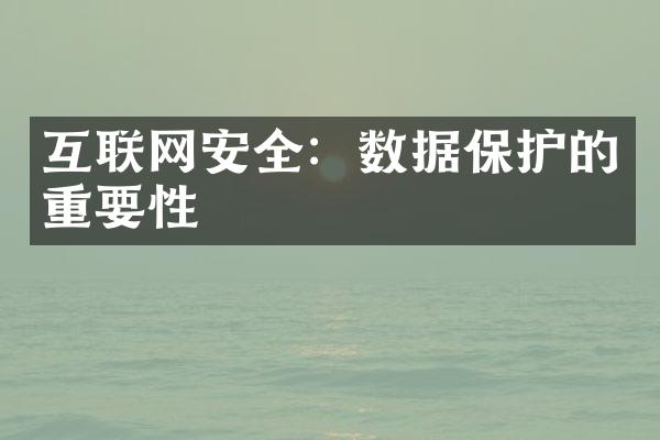 互联网安全：数据保护的重要性