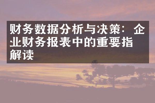 财务数据分析与决策：企业财务报表中的重要指标解读