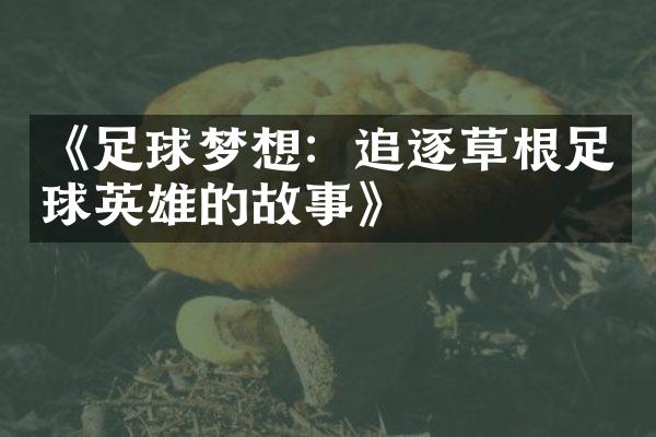 《足球梦想：追逐草根足球英雄的故事》