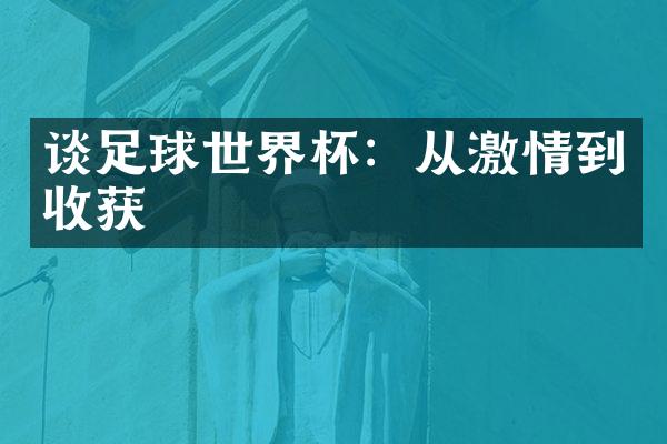 谈足球世界杯：从激情到收获