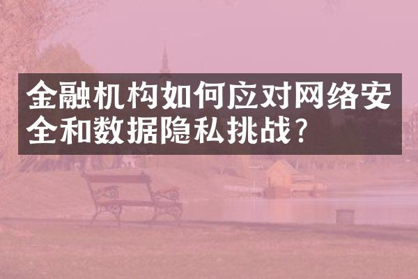 金融机构如何应对网络安全和数据隐私挑战？