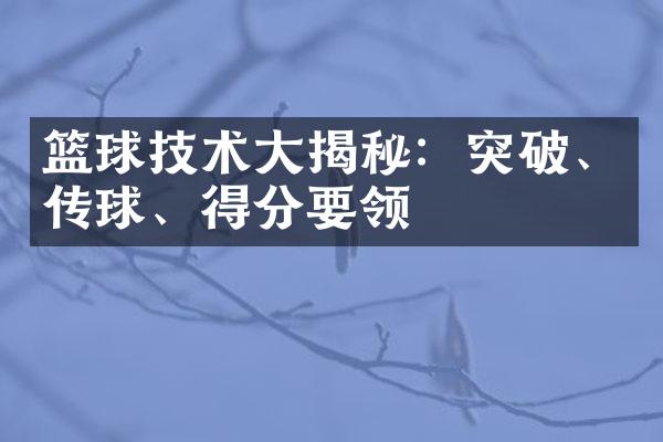 篮球技术大揭秘：突破、传球、得分要领