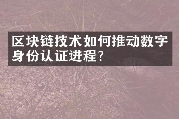 区块链技术如何推动数字身份认证进程？