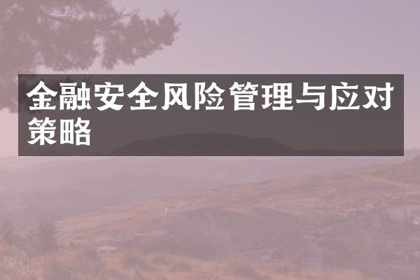 金融安全风险管理与应对策略