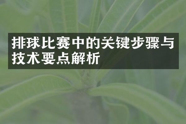 排球比赛中的关键步骤与技术要点解析