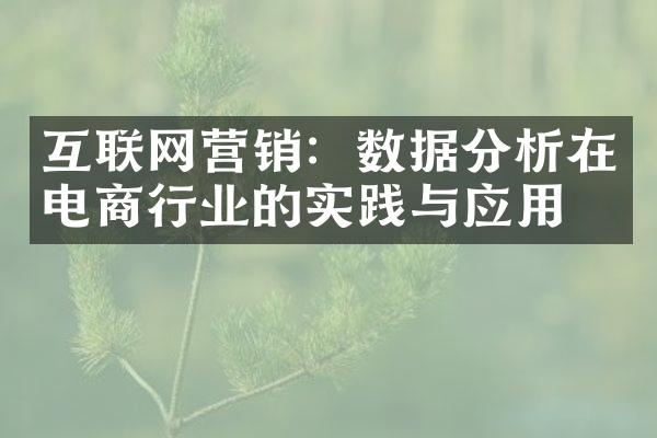 互联网营销：数据分析在电商行业的实践与应用