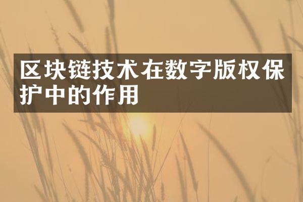 区块链技术在数字版权保护中的作用