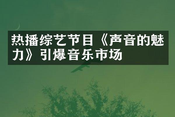 热播综艺节目《声音的魅力》引爆音乐市场