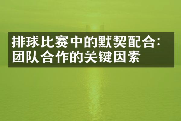 排球比赛中的默契配合：团队合作的关键因素