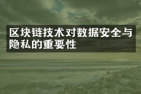 区块链技术对数据安全与隐私的重要性