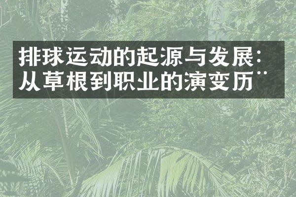 排球运动的起源与发展：从草根到职业的演变历程