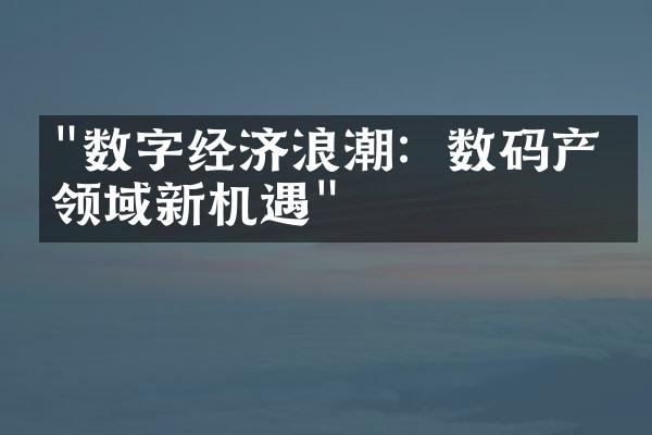 "数字经济浪潮：数码产业领域新机遇"