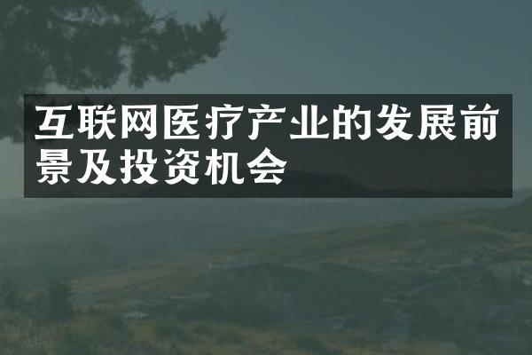 互联网医疗产业的发展前景及投资机会