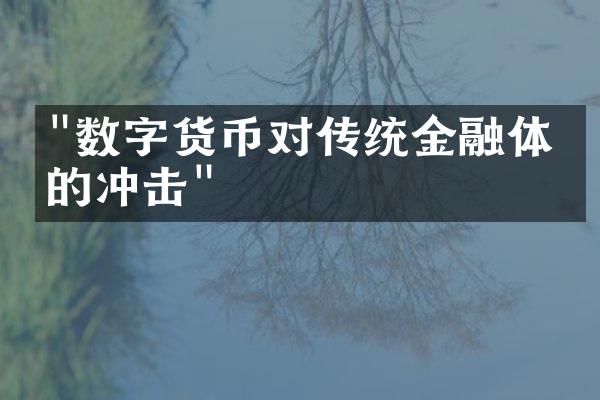 "数字货币对传统金融体系的冲击"