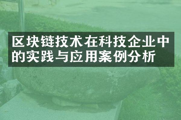 区块链技术在科技企业中的实践与应用案例分析